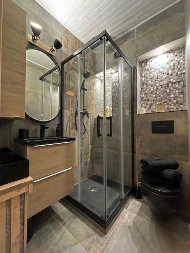 une salle de bain avec une douche avec des toilettes et un lavabo dans l'établissement Petit Ours Blanc, à Gréolières