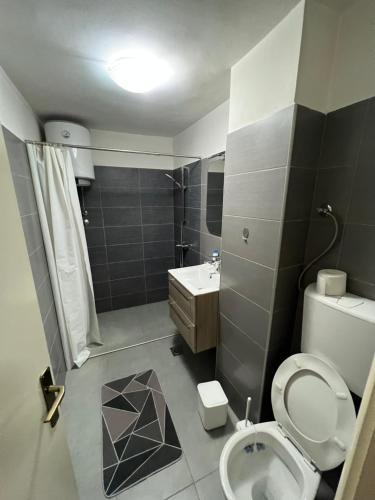 ein Bad mit einem WC, einem Waschbecken und einer Dusche in der Unterkunft Friendly home 2 in Tuzla