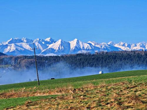 Apartamenty Widokówka