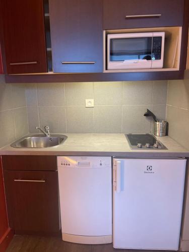 a small kitchen with a sink and a microwave at STUDIO PRADO PLAGE PISCINE TERRASSE in Marseille
