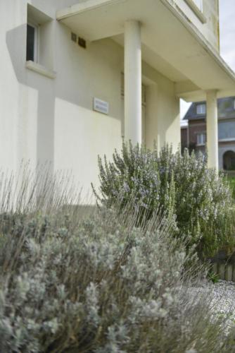 a white building with some plants in front of it at La Perle Marine superbe vue mer terrasse 30m2 in Criel-sur-Mer