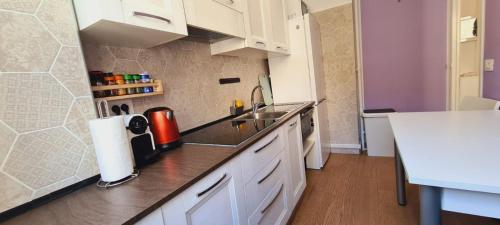 une cuisine avec un évier et un plan de travail dans l'établissement Gloria apartments, à Nice