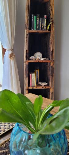 a plant in a vase on a table with a book shelf at Ocean View Villa with pool, Zanzibar in Pingwe