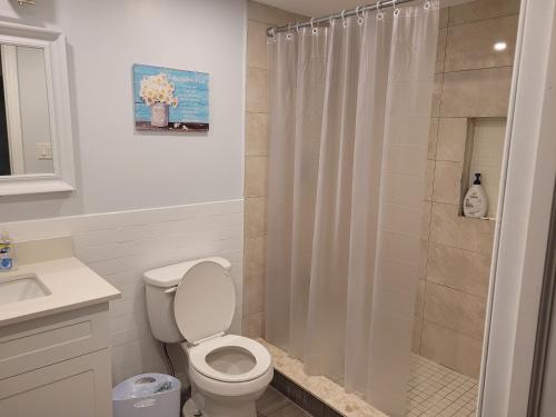 uma casa de banho com um WC e um chuveiro em Cozy Room in a Quiet Neighbourhood em Toronto