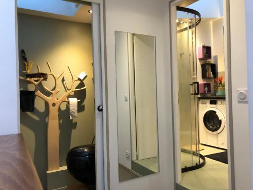 La salle de bains est pourvue d'un miroir et d'un lave-linge. dans l'établissement Charming house, calm garden in the center of Paris, à Paris