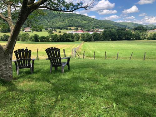 two chairs sitting under a tree in a field at Gîte Etcharnia in Larceveau-Arros-Cibits
