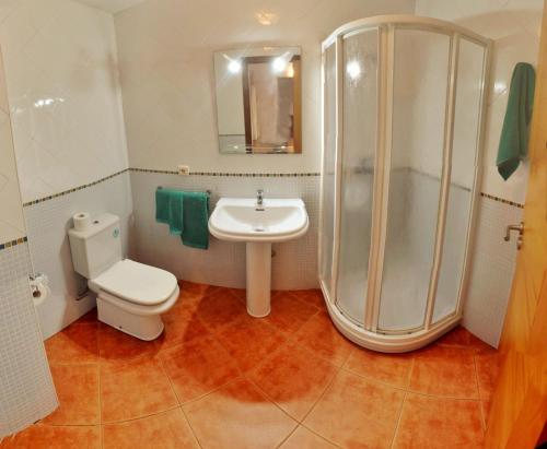 La salle de bains est pourvue d'une douche, de toilettes et d'un lavabo. dans l'établissement Apartamento Río Gallo, à Cuntis