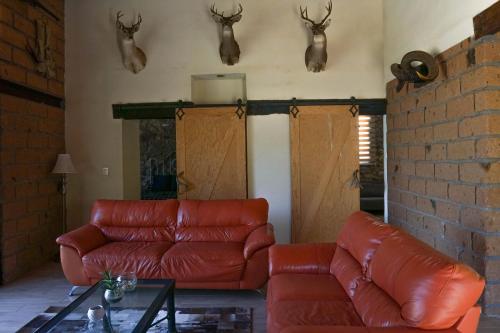 a living room with a leather couch and antlers on the wall at Armadillo Mágico in Armadillo