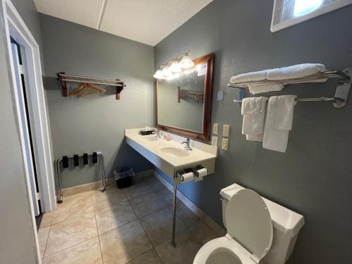 a bathroom with a sink and a toilet and a mirror at Econo Lodge in Forest City