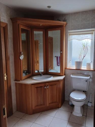 a bathroom with a toilet and a sink and a window at Carraig Ban in Cong