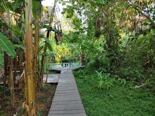 una pasarela de madera en un jardín con árboles en Pousada Capim Dourado Jalapão São Felix TO, en São Félix do Tocantins