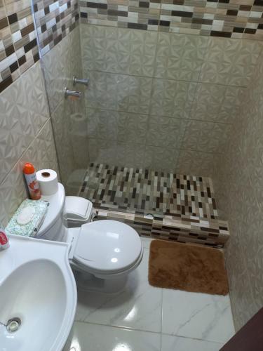 a bathroom with a toilet and a sink and a shower at Apartamento acogedor in Santiago de los Caballeros