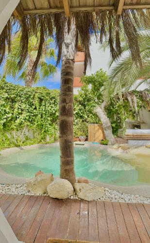 a palm tree sitting on a wooden deck next to a pool at Casa Klod Ibiza in Ibiza Town