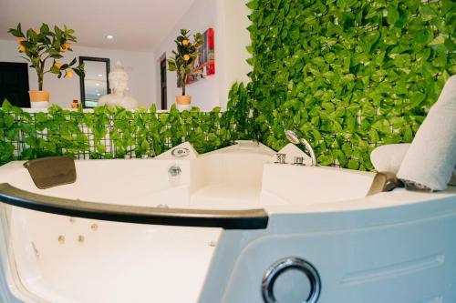 a bathroom with a toilet and a green wall at Vistas del Conde in Heredia