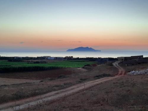 a dirt road in a field with a mountain in the background at All seasons holiday in El Haouaria