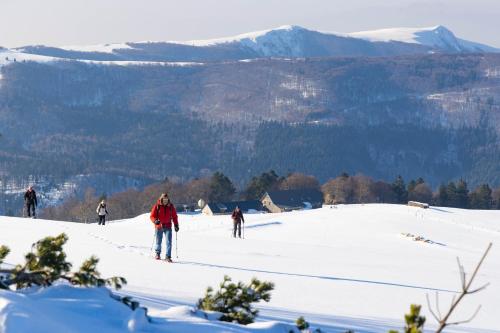 a group of people skiing on a snow covered slope at Grand Mobil Home 6 personnes climatisé avec 3 chambres et 2 salles de bains à Munster en Alsace in Munster