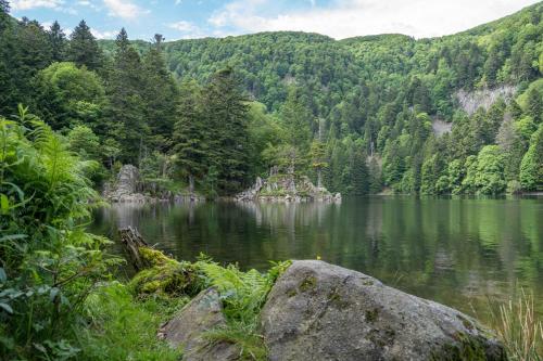 a lake in the middle of a forest at Grand Mobil Home 6 personnes climatisé avec 3 chambres et 2 salles de bains à Munster en Alsace in Munster