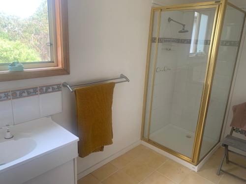 ein Badezimmer mit Dusche und Waschbecken in der Unterkunft The Chicory in Ventnor