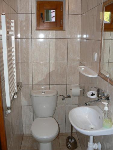 a bathroom with a toilet and a sink at Guest House Pieninka in Lesnica