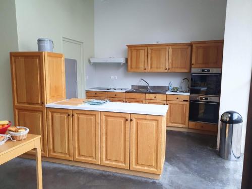 a kitchen with wooden cabinets and a counter top at GITE LES ARCHES in Saint-Andéol-le-Château