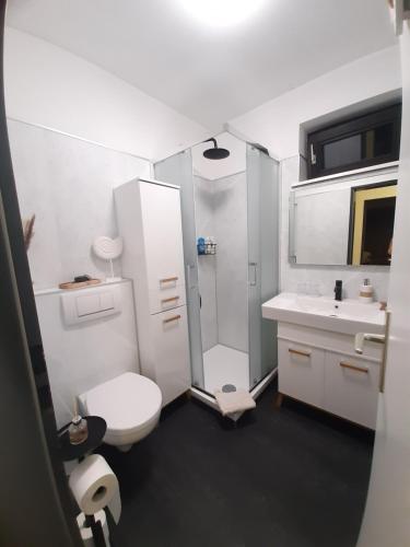 Un baño con ducha, inodoro y lavabo. en 1 Raum-Ferienwohnung am Rosenberg, en Goslar