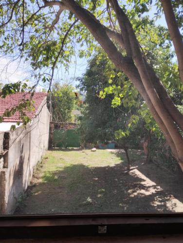 a view of a yard from a window at Casa Nuestra Hostal in Salta