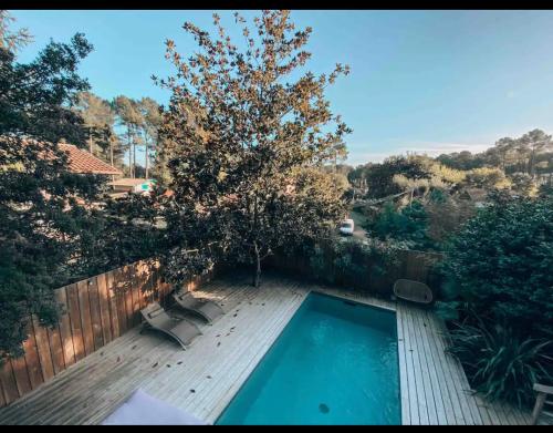 een zwembad op een houten terras met een boom bij Chambre dans villa avec piscine in Seignosse