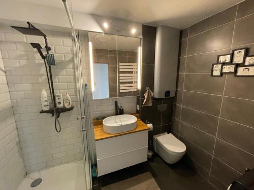 y baño con aseo, lavabo y ducha. en Piektais stāvs / 5th floor, en Ludza