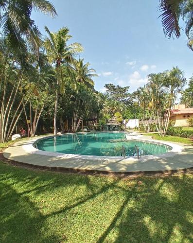 einen großen Pool in einem Garten mit Palmen in der Unterkunft CASA RIO in Escuintla