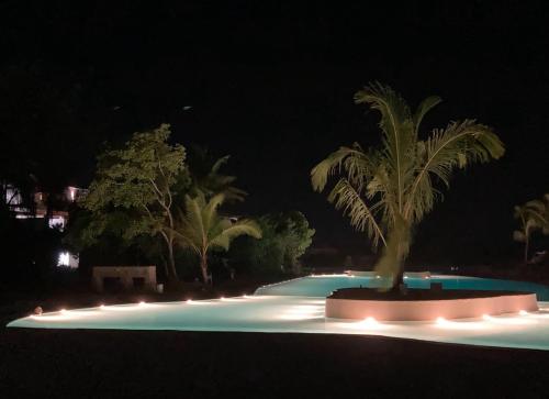 a pool at night with a palm tree and lights at Stylish flat with balcony & pool at Paje Beach in Paje