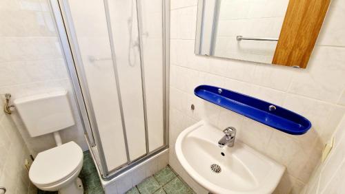 a bathroom with a toilet and a sink at Zur Schönen Lau- Monteurzimmer in Blaubeuren
