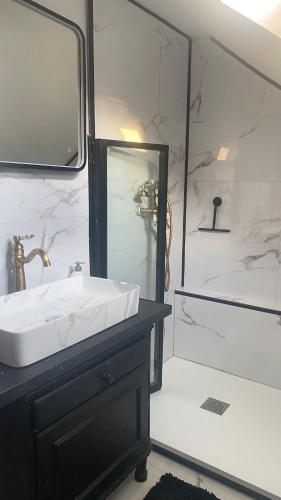 une salle de bain avec un lavabo et un miroir dans l'établissement résidence du château, à Chambéry