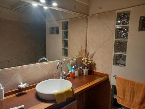 a bathroom with a sink and a mirror at la Casita del bosque in Villa Gesell