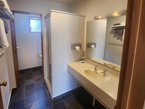 ASURE Highpark Motor Inn في غرايموث: حمام مع حوض ومرآة