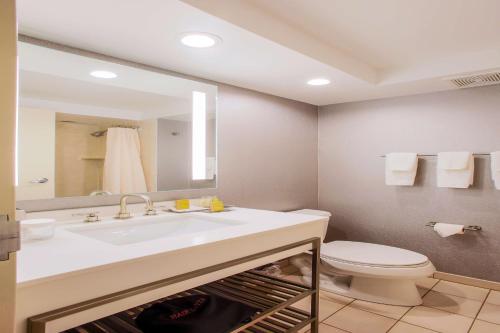 a bathroom with a sink and a toilet and a mirror at DoubleTree by Hilton Chicago/Alsip in Alsip