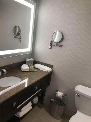 a bathroom with a sink and a mirror and a toilet at DoubleTree By Hilton Baltimore North Pikesville in Pikesville