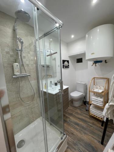 uma casa de banho com um chuveiro e um WC. em L'AIR DU TEMPS, Superbe appartement, au coeur du Centre Historique de Grasse em Grasse