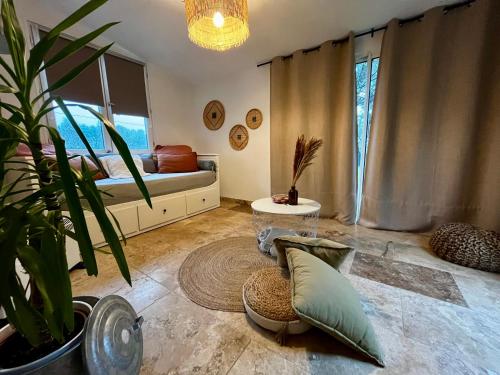 un soggiorno con letto e pianta in vaso di Aix-en-Provence, Maison provençale au calme de la campagne avec Jacuzzi ad Aix en Provence