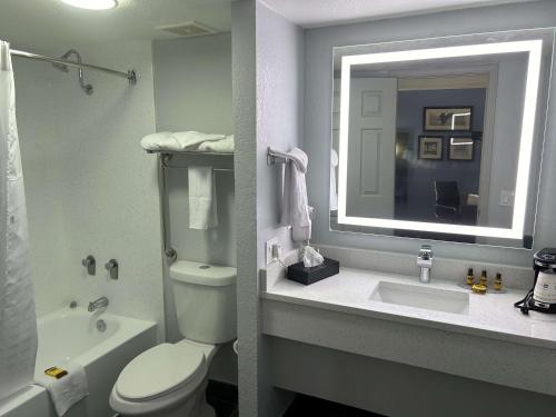 a bathroom with a toilet and a sink and a mirror at Best Western Schaumburg – O’Hare NW in Schaumburg
