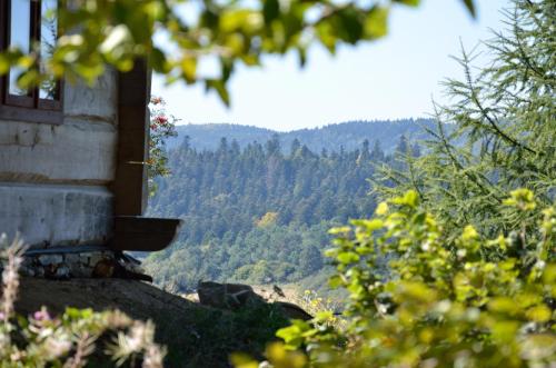 a view of the mountains from a house at Schronisko Górskie nad Smolnikiem in Smolnik