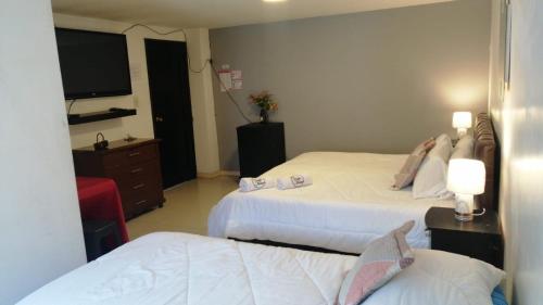 a hotel room with two beds and a flat screen tv at HOTEL VIEILLE MAISON in Quito