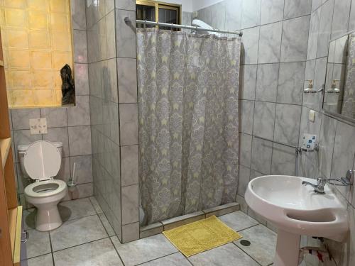 a bathroom with a shower and a toilet and a sink at Appartement spacieux à quelques pas de la plage Casa el Pozo in El Agua