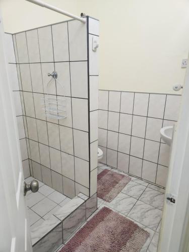 a bathroom with a glass shower with a toilet at Sun Lover's Apartments in The Lime