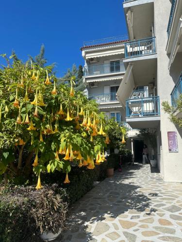 Gallery image of Drossinos Studios in Poros
