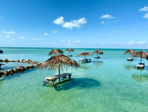 - une plage avec des chaises et des parasols dans l'eau dans l'établissement Samudra Villas 2, à San Pedro
