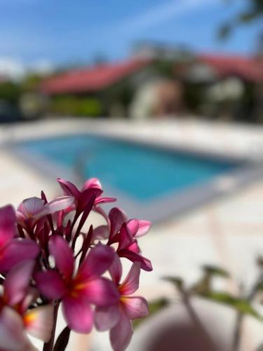 Bazén v ubytování Dhania Cenang Beach Motel nebo v jeho okolí