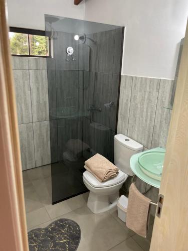 La salle de bains est pourvue de toilettes et d'une douche en verre. dans l'établissement Haus 2, à Piribebuy