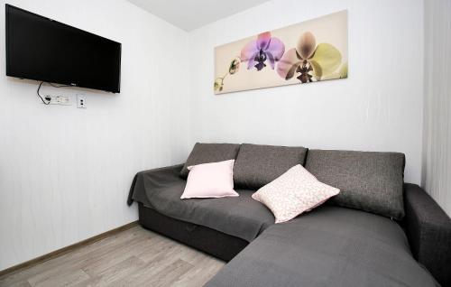 a living room with a couch and a flat screen tv at Beautiful Home In Murter in Murter