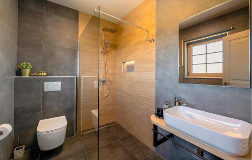 a bathroom with a toilet and a sink and a shower at Villa Cami in Gržići