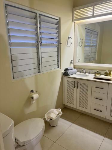 La salle de bains est pourvue de toilettes, d'un lavabo et d'un miroir. dans l'établissement Sea Breeze Villa, à Richmond